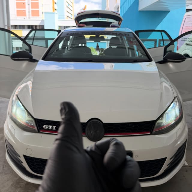 Keep Finding Insects in Your Car? Here’s What’s Really Going On &mdash; Cleanic Detailing Singapore