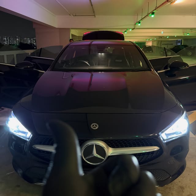 How to Remove Pet Odour From Your Car Interior &mdash; Cleanic Detailing Singapore