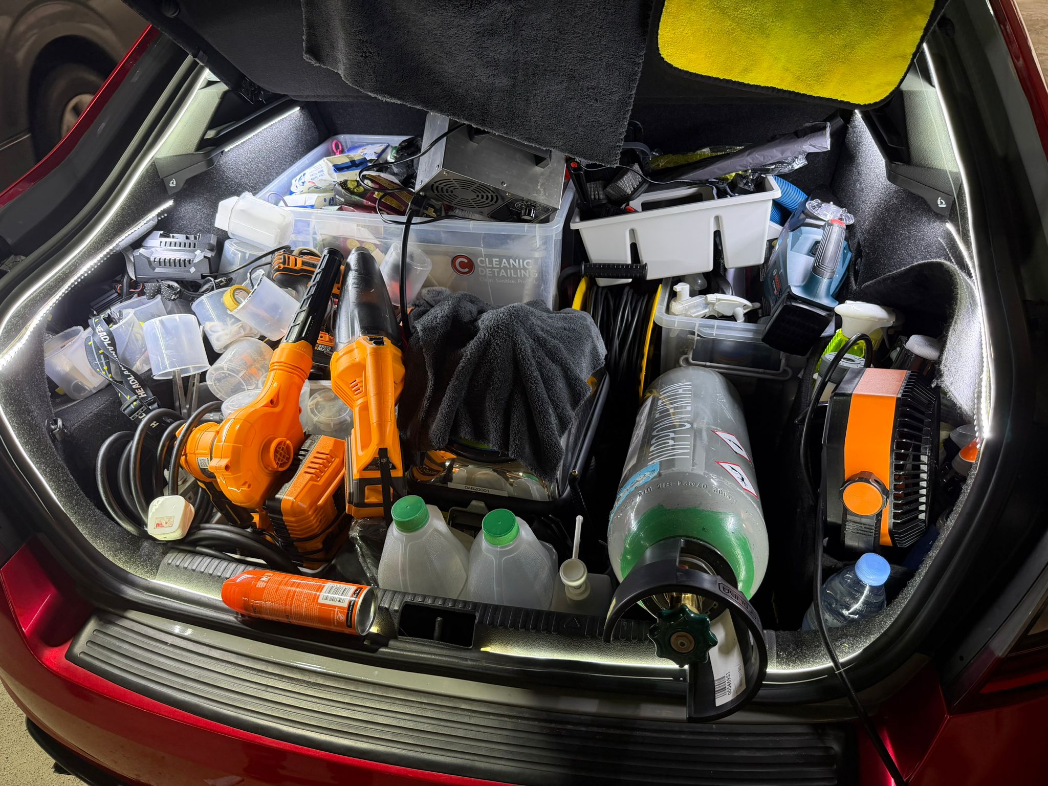 Keep Finding Insects in Your Car? Here’s What’s Really Going On